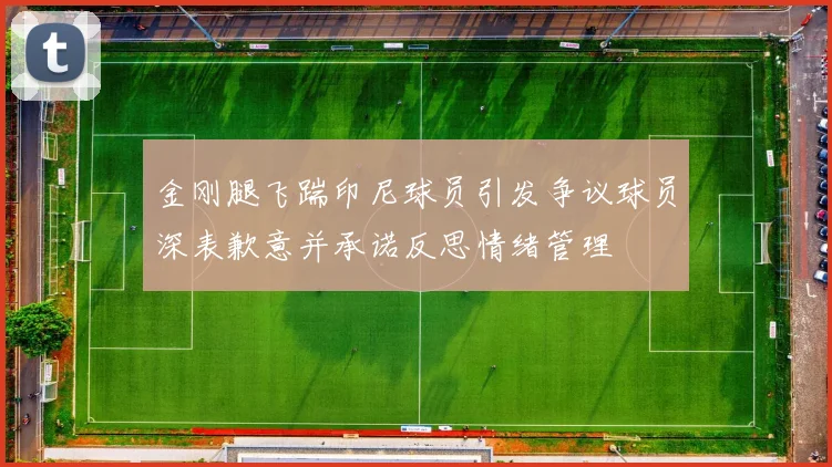 金刚腿飞踹印尼球员引发争议球员深表歉意并承诺反思情绪管理